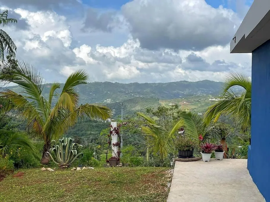 Casa Juani - Orocovis, Pr -4 Bedroom Cozy Home In The Countryside! Holiday home Orocovis